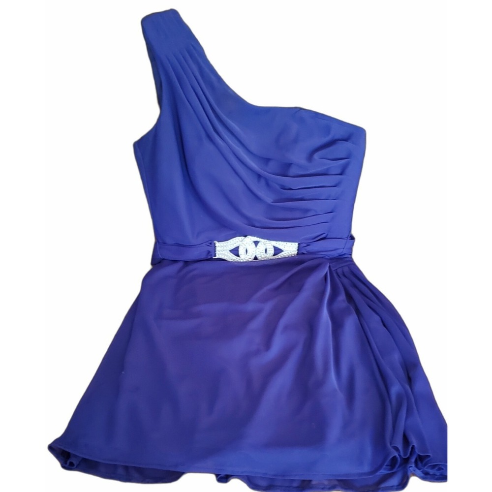 Alex Evenings Purple One Shoulder Dress
